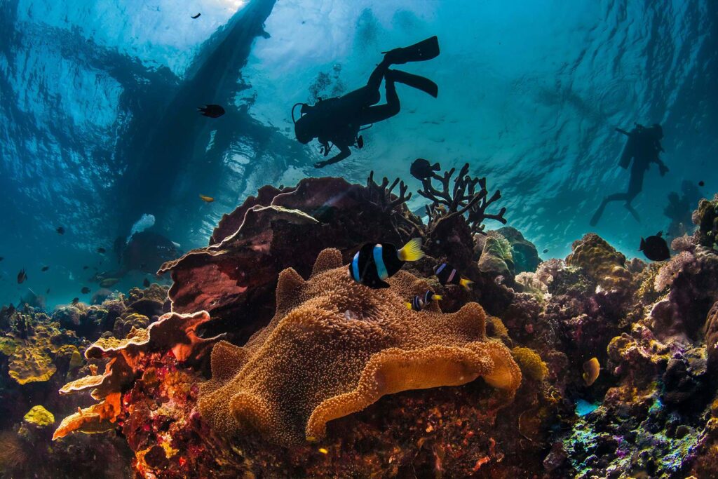 scuba diving sites in playa